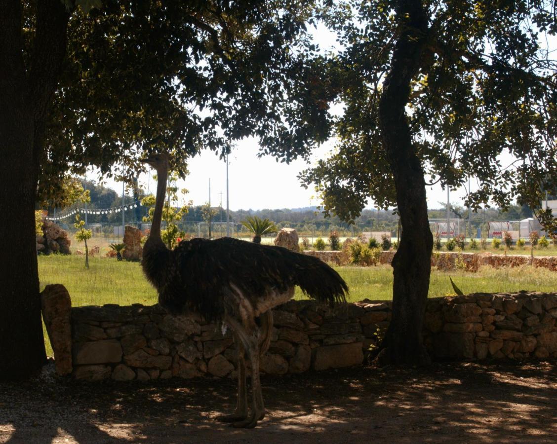 Tenuta Ferraro Gallipoli Buitenkant foto