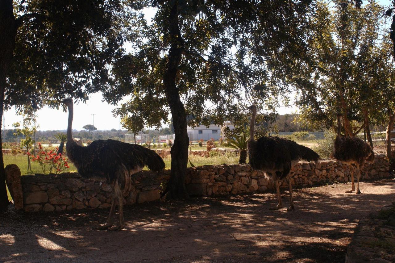 Tenuta Ferraro Gallipoli Buitenkant foto