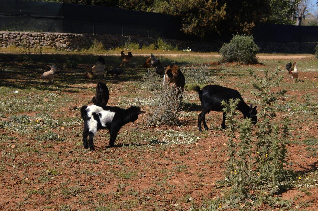 Tenuta Ferraro Gallipoli Buitenkant foto